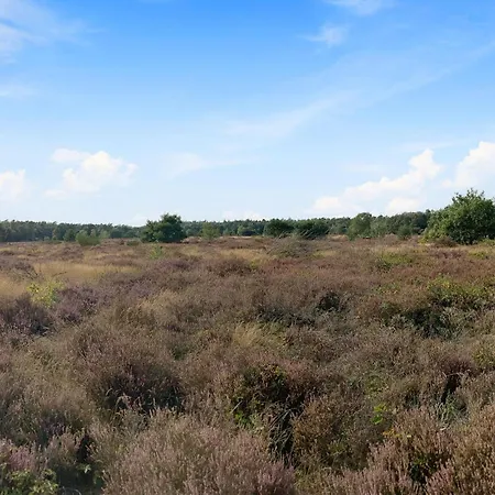 Holiday home Beautiful In Voorthuizen